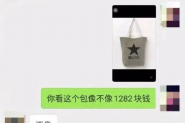 齐齐哈尔融资清欠服务